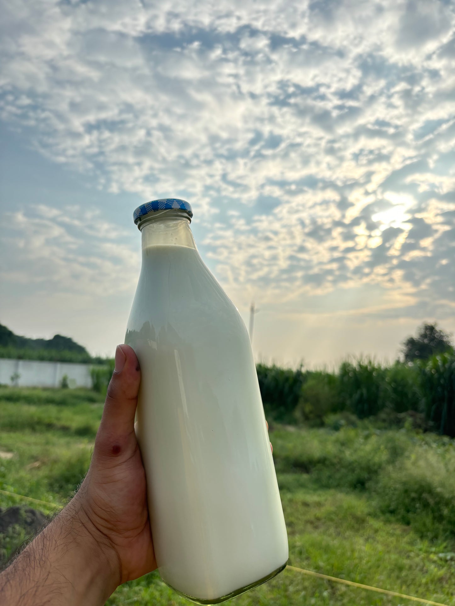 A2 Desi Cow Milk (Rs. 135/ litre)